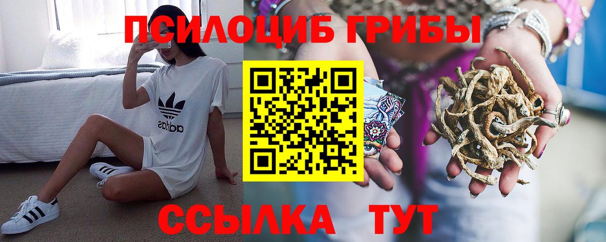 Псилоцибиновые грибы прущие грибы Изобильный